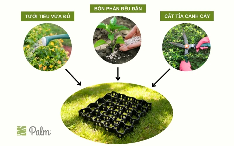 Vỉ Trồng Cỏ Chịu Lực | Tất Tần Tật Về Lợi Ích, Ứng Dụng Và Cách Lắp Đặt